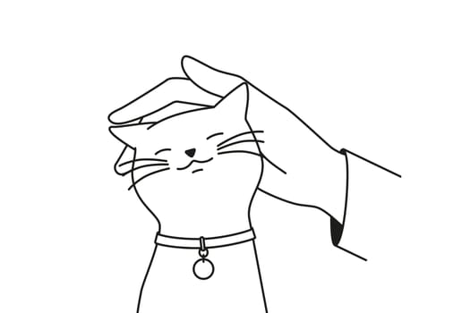 Hand caress cute cat