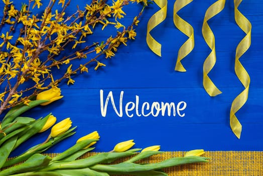 English Text Welcome. Yellow Spring Flowers Like Tulip And Branches. Festive Decoration With Ribbon. Blue Wooden Background