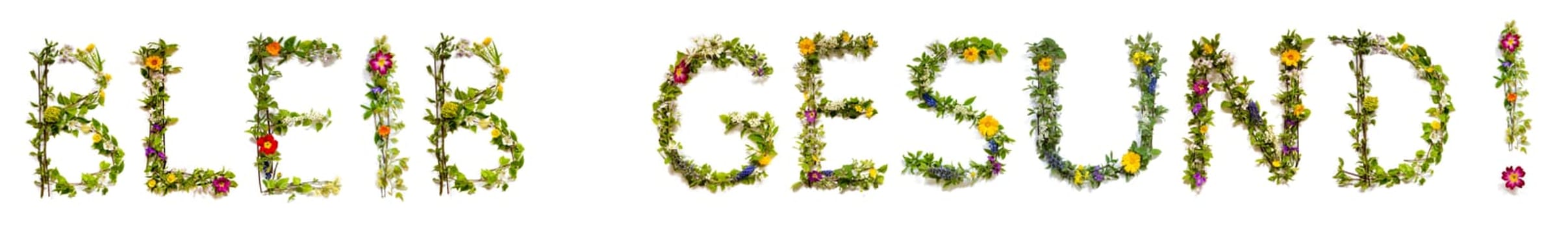 Blooming Flower Letters Building German Word Bleib Gesund Means Stay Healthy. Summer And Spring Season Blossoms And Flower Lei.