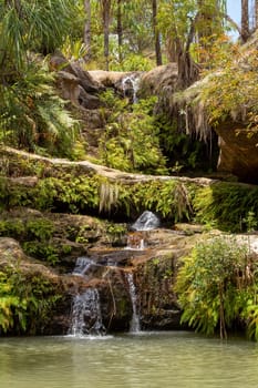 Rain forest waterfall, pure unattached nature, Isalo national park. Beautiful unattached Madagascar wilderness landscape