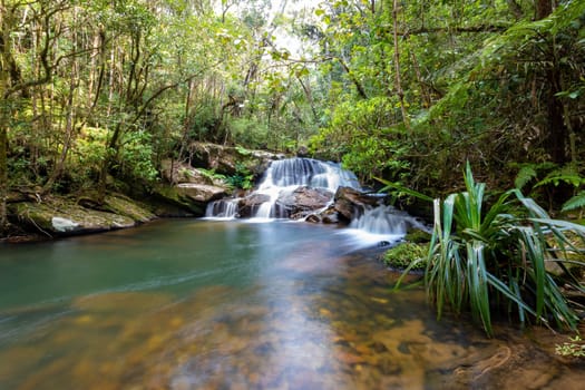 Rain forest waterfall, pure unattached nature, long exposure water shot. Andasibe-Mantadia National Park- Analamazaotra, Madagascar wilderness landscape
