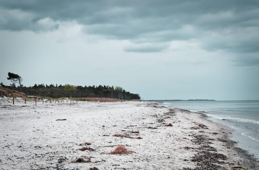 west beach on baltic sea beach. detailed and textured still life. beautiful vacation spot