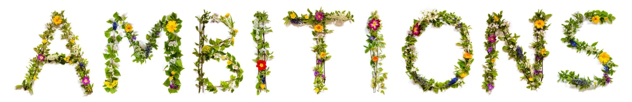 Blooming Flower Letters Building English Word Ambitions. Summer And Spring Season Blossoms And Flower Lei.