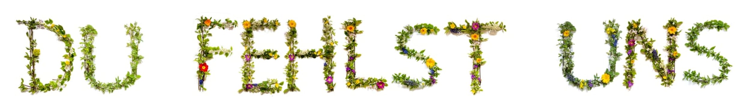 Blooming Flower Letters Building German Text Du Fehlst Uns Means We Miss You. Summer And Spring Season Blossoms And Flower Lei.