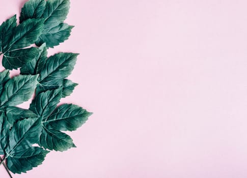 Dark green leaves frame over pastel pink from above. Trendy social media minimal background with nature foliage border. Top view. Girly modern and clean banner for fashion and beauty.