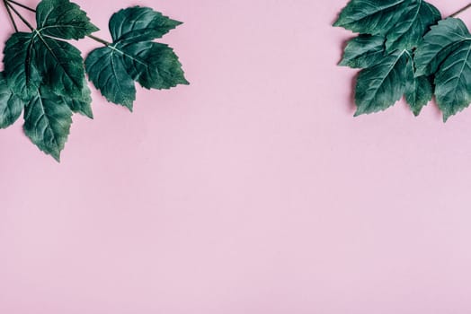 Dark green leaves frame over pastel pink from above. Trendy social media minimal background with nature foliage border. Top view. Girly modern and clean banner for fashion and beauty.
