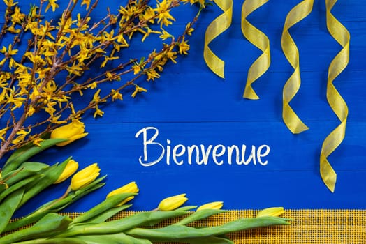 French Text Bienvenue Means Welcome. Yellow Spring Flowers Like Tulip And Branches. Festive Decoration With Ribbon. Blue Wooden Background