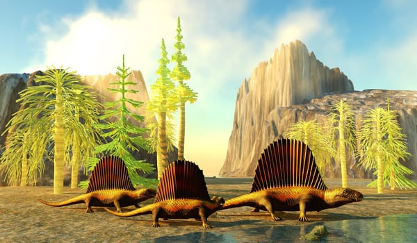 Dimetrodon primitive predators stick together looking for prey during the Permian Period.
