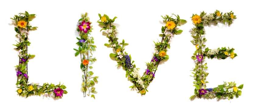 Blooming Flower Letters Building English Word Live. Summer And Spring Season Blossoms And Flower Lei.