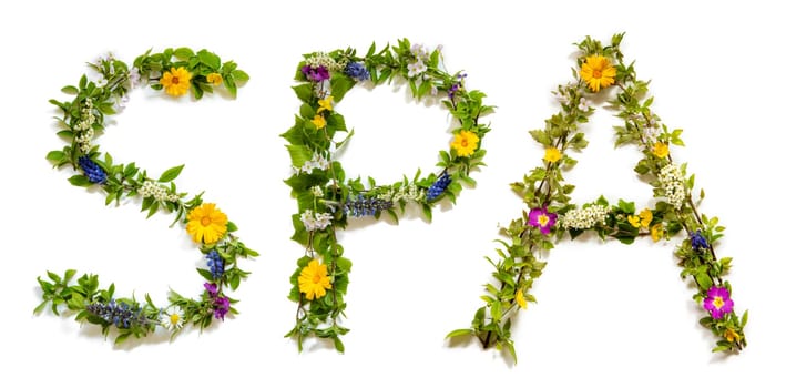 Blooming Flower Letters Building English Word Spa. Summer And Spring Season Blossoms And Flower Lei.