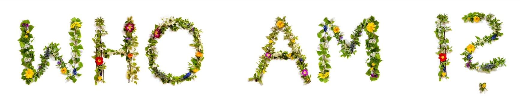Blooming Flower Letters Building English Text Who Am I Summer And Spring Season Blossoms And Flower Lei.