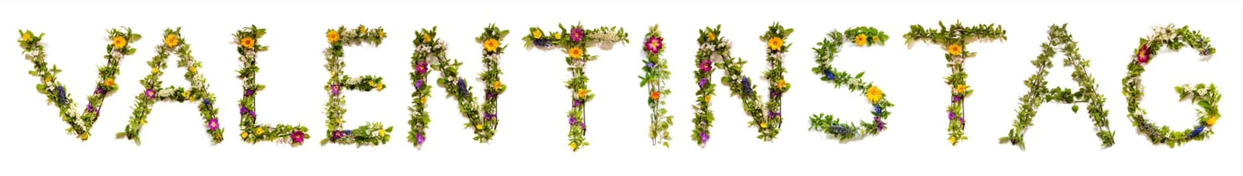 Blooming Flower Letters Building German Word Valentinstag Means Valentines Day. Summer And Spring Season Blossoms And Flower Lei.