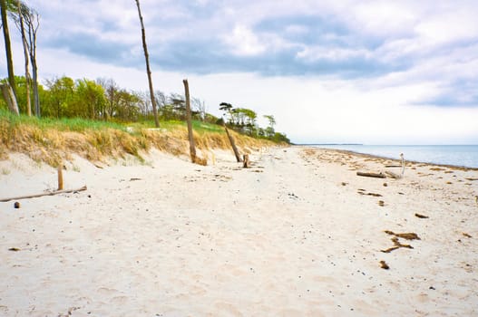 west beach on baltic sea beach. detailed and textured still life. beautiful vacation spot