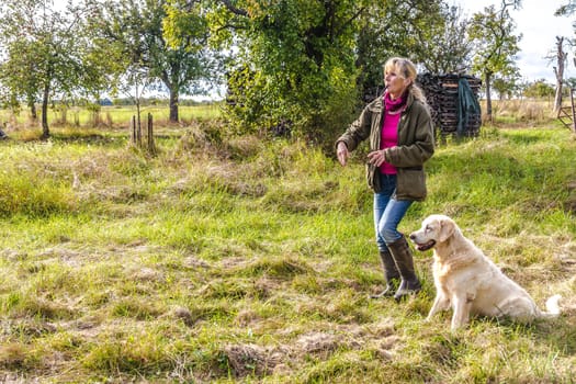 Dog trainer trains a golden retriever with dog whistle on a meadow in autumn.