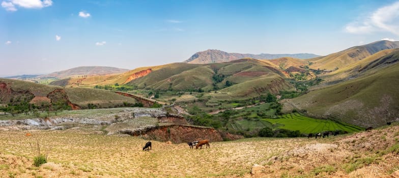 Devastated central Madagascar landscape, Mandoto, Vakinankaratra. Highland deforested countryside. Deforestation creates agricultural pastoral land but also result ecology problem with soil and water.