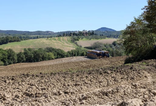 The rural landscape near Pienza in Tuscany. Italy