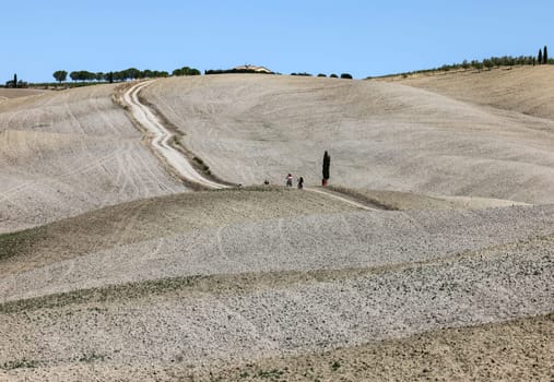 The rural landscape near San Quirico in Tuscany. Italy