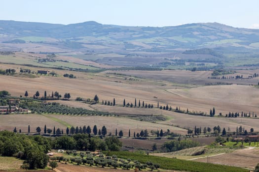 The rural landscape near Pienza in Tuscany. Italy