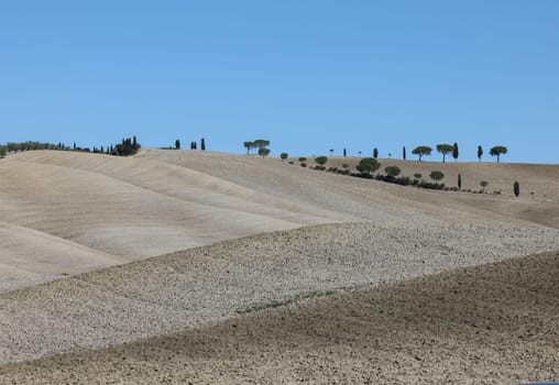 The rural landscape near San Quirico in Tuscany. Italy