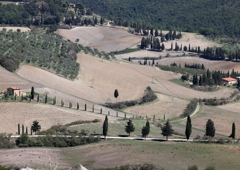 The rural landscape near Pienza in Tuscany. Italy