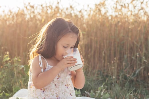 Little dark-haired girl 3-4 years old in white light dress sits in field of ripe rye spikelets, holds glass of milk in her hands and drinks it in sunny summer day. Healthy children food.