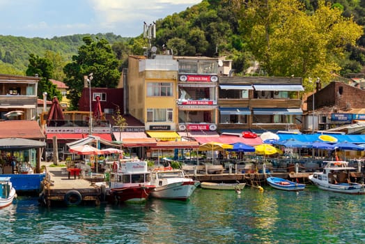 Istanbul, Turkey - August 29, 2022: View from Bosphorus of the green mountains of the Europian side at Anadolu Kavagi district, with docked boats, traditional houses and dense trees in a summer day