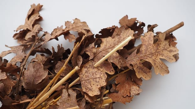 The badnjak veseljak is a tree branch or entire tree that is central to Serbian Christmas celebrations. It is placed on a fire on Christmas Eve and its branches are later brought home by worshipers
