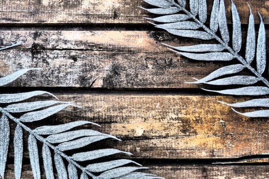 Wooden background from horizontal narrow boards. Two exotic tropical branches with thin palm leaves are located at the edges of the image. Background with copy space.