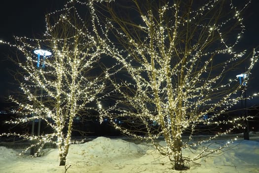 New Year or Christmas city night street. Snowdrifts. Tree lighting design. Winding garlands of the trunk and branches. LED Christmas decorations. Garlands - spider and clip light. Electric lighting.