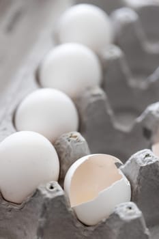 Carton of White Chicken Eggs and Egg Shells.