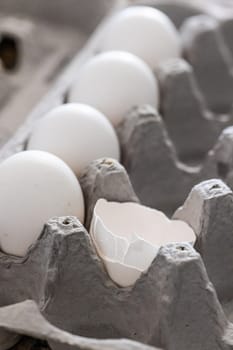 Carton of White Chicken Eggs and Egg Shells.