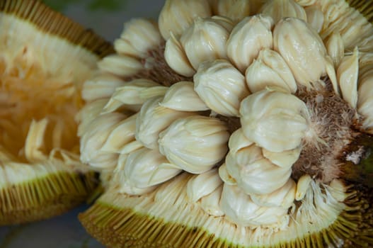 Close up of Tarap fruit of Borneo Malaysia. Asian fruit concept.