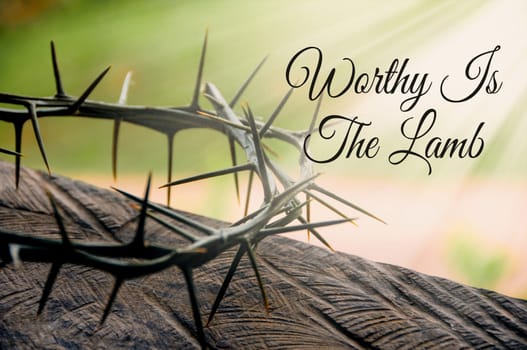 Worthy is the Lamb quote with shining Crown of thorns background.