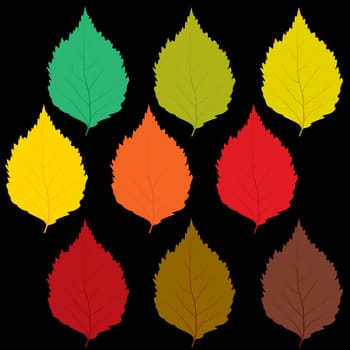 Set of autumn leaves of different colors