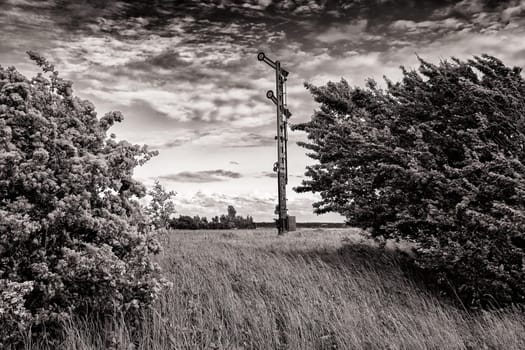 old wagons and tracks on the former railway line to Fischland-Darss peninsula, Bresewitz, Mecklenburg-Western Pomerania, Germany