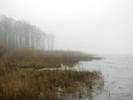 cold fog on the shore of the lake morning autumn landscape, white shroud