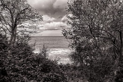 Baltic Sea coast near Kuehlungsborn, Mecklenburg-West Pomerania