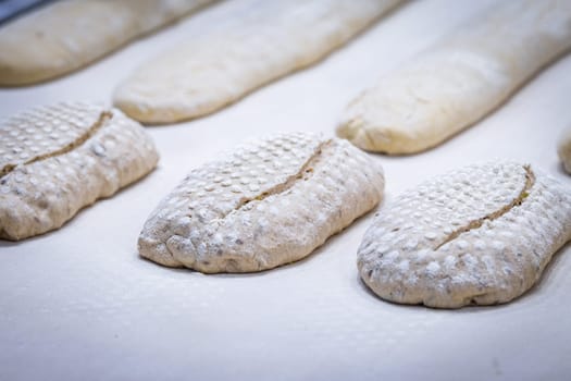 Tasted, special and fresh beautiful french raw bread