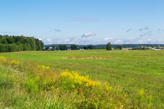 Rural landscape in Belarus on a sunny day. Green field in colorful summer