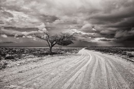 Landscape in Namibia during the rainy season