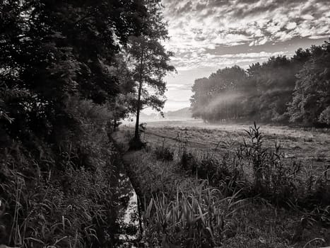 Dawn over the Schorfheide, Land Brandenburg, Germany