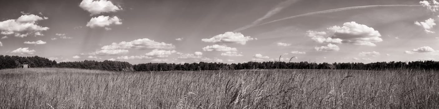 Schorfheide landscape panorama, Land Brandenburg, Germany