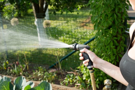 A woman's hand with water hose pours a green garden