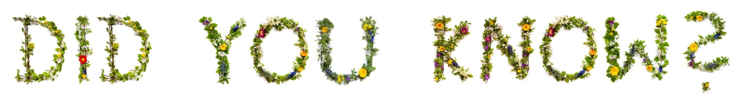 Blooming Flower Letters Building English Text Did You Know Summer And Spring Season Blossoms And Flower Lei.