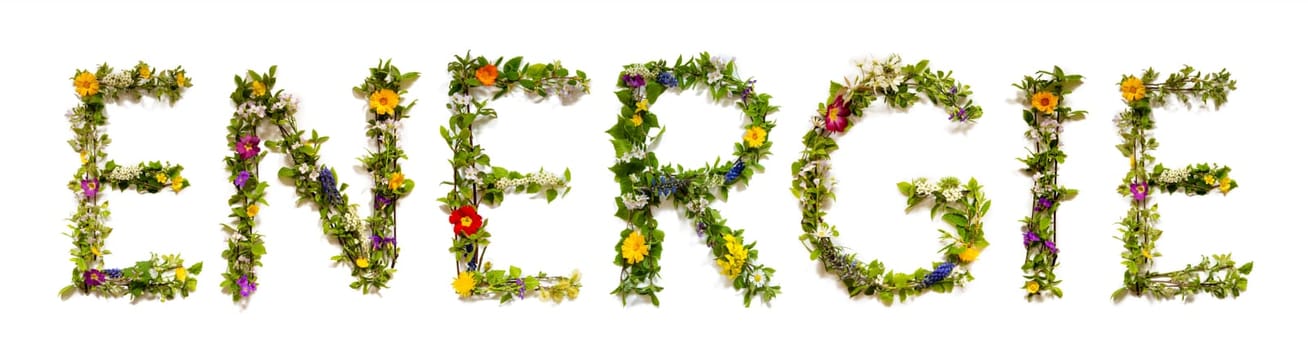 Blooming Flower Letters Building German Word Energie Means Energy. Summer And Spring Season Blossoms And Flower Lei.