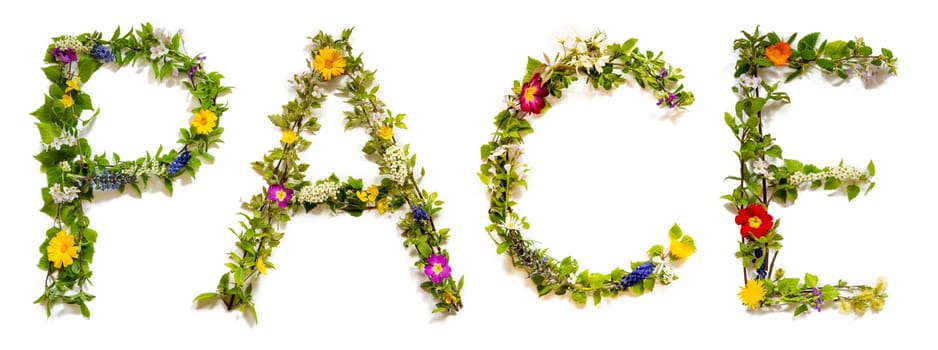 Blooming Flower Letters Building English Word Pace. Summer And Spring Season Blossoms And Flower Lei.