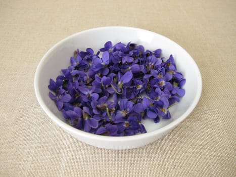Freshly picked sweet violets in a shallow bowl