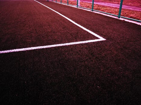 The marking of the football field on the grass. White lines no more than 12 cm or 5 inches wide. Football field area. Burgundy bright color. Side lines, goal lines