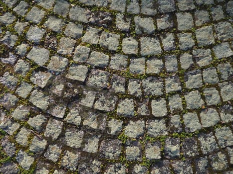 Neatly laid out old paving stones. Pavement on the square of the old town. Square and rectangular stones on the ground, covered with moss and lichens.