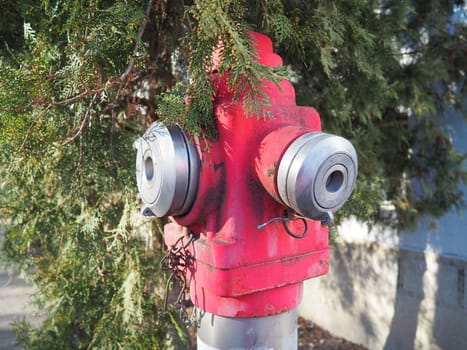 industrial fire hydrant. Outdoor equipment for extinguishing fires in urban environments. Metal painted in kars color. Two fire hose taps. Thuja leaves in the background
